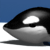 Pingu Slap
